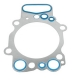Cylinder head gasket for Scania rep. 1403608, 1468555, 1892765, 1893054